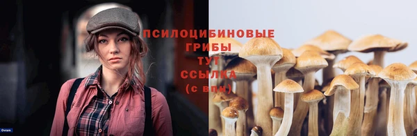 каннабис Арсеньев
